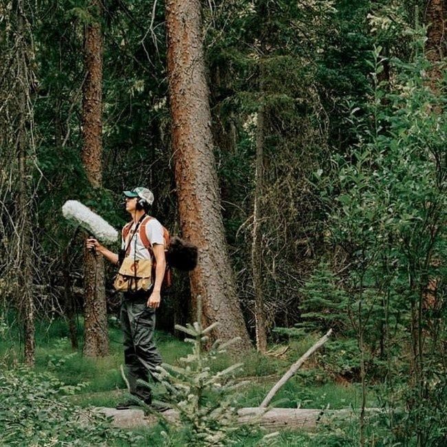 Person carrying a large microphone through a dense forest