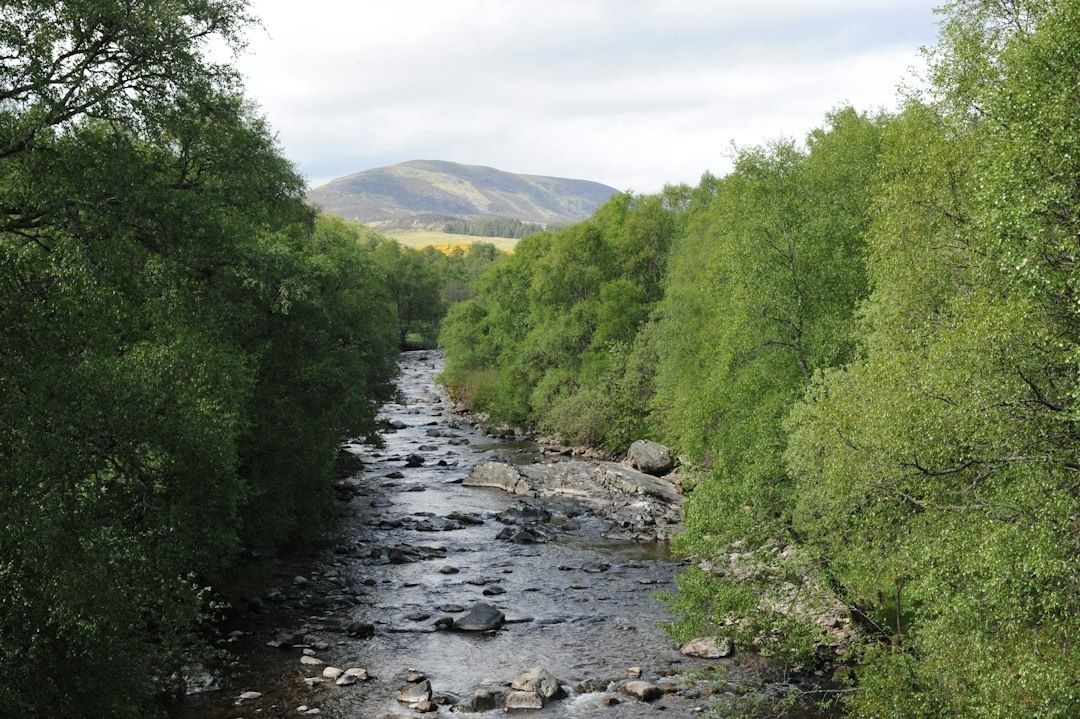 Tree-lined rocky stream flowing toward a green mountain valley